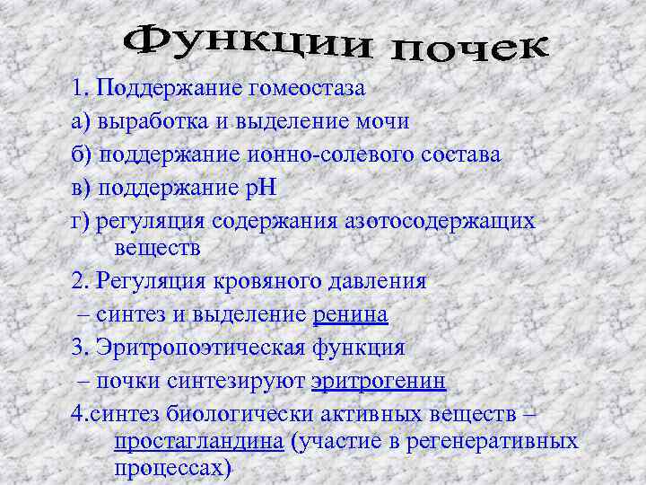 1. Поддержание гомеостаза а) выработка и выделение мочи б) поддержание ионно-солевого состава в) поддержание