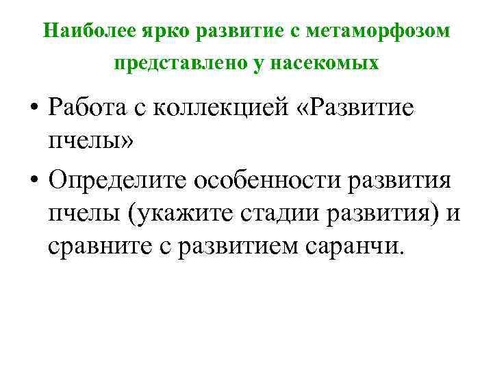 Наиболее ярко развитие с метаморфозом представлено у насекомых • Работа с коллекцией «Развитие пчелы»