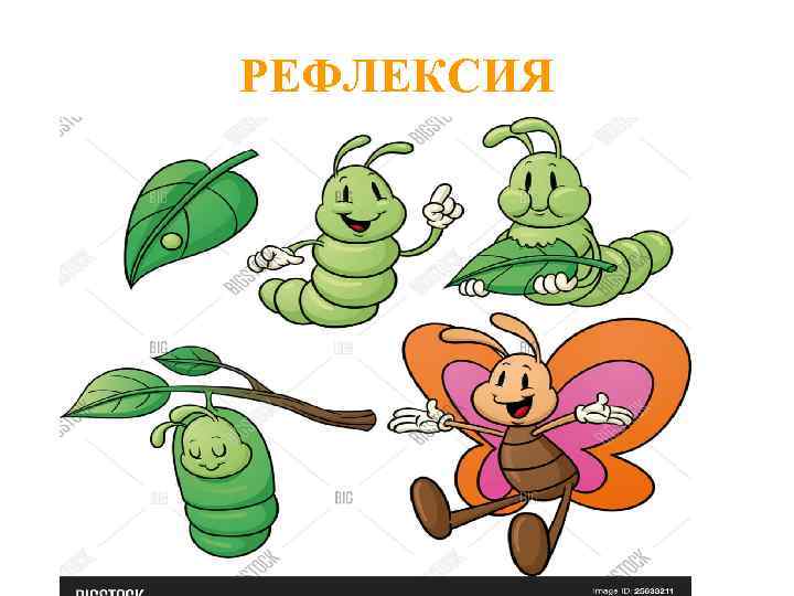 РЕФЛЕКСИЯ 