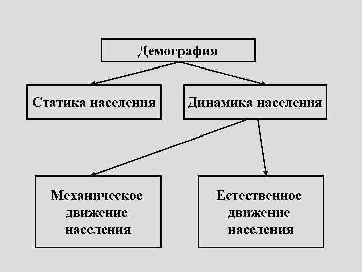 Медицинская демография схема