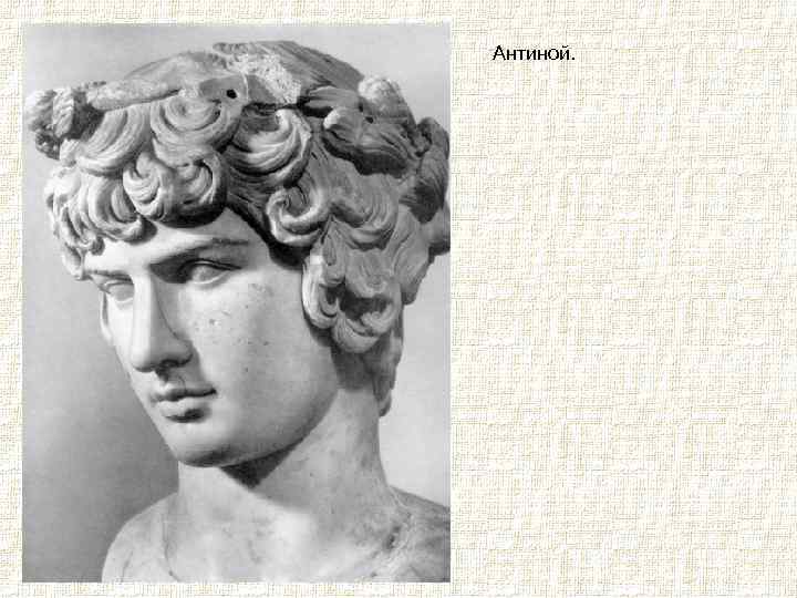 Антиной. 