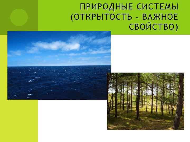 ПРИРОДНЫЕ СИСТЕМЫ ( ОТКРЫТОСТЬ – ВАЖНОЕ СВОЙСТВО ) 