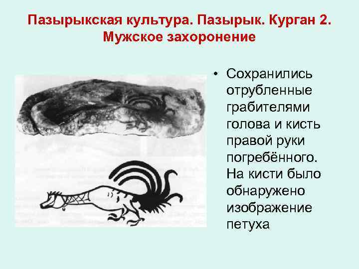 Пазырыкская культура. Пазырык. Курган 2. Мужское захоронение • Сохранились отрубленные грабителями голова и кисть