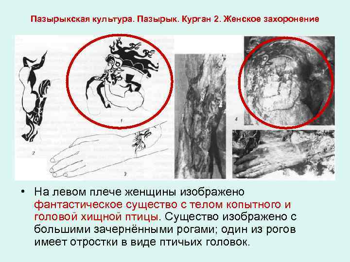 Пазырыкская культура. Пазырык. Курган 2. Женское захоронение • На левом плече женщины изображено фантастическое