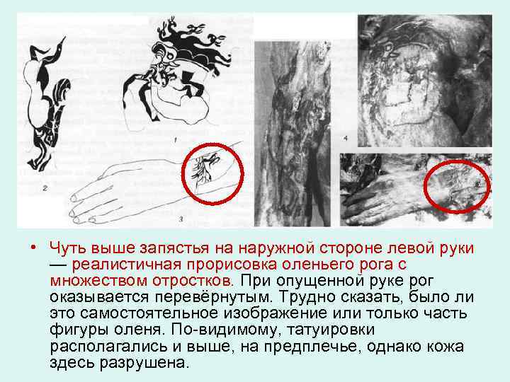  • Чуть выше запястья на наружной стороне левой руки — реалистичная прорисовка оленьего
