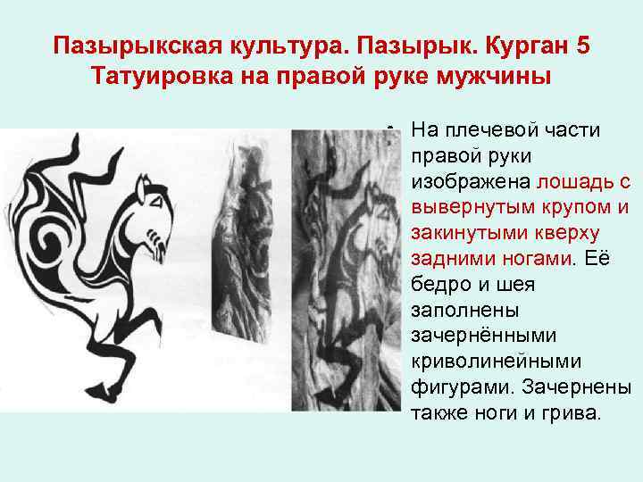 Пазырыкская культура. Пазырык. Курган 5 Татуировка на правой руке мужчины • На плечевой части