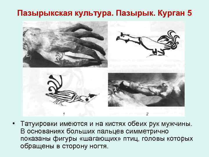 Пазырыкская культура. Пазырык. Курган 5 • Татуировки имеются и на кистях обеих рук мужчины.