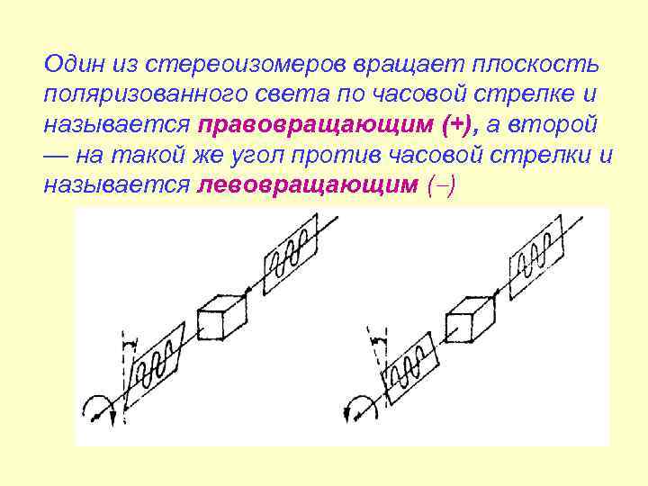 Один из стереоизомеров вращает плоскость поляризованного света по часовой стрелке и называется правовращающим (+),