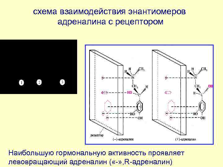 схема взаимодействия энантиомеров адреналина с рецептором Наибольшую гормональную активность проявляет левовращающий адреналин ( «-»