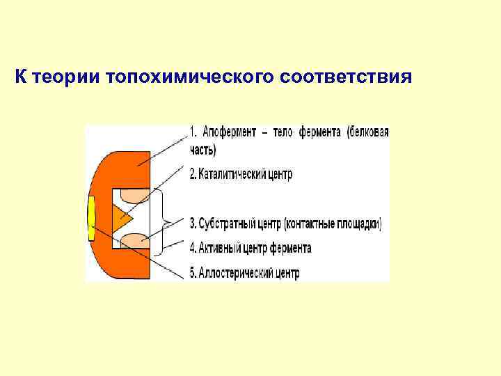 К теории топохимического соответствия 