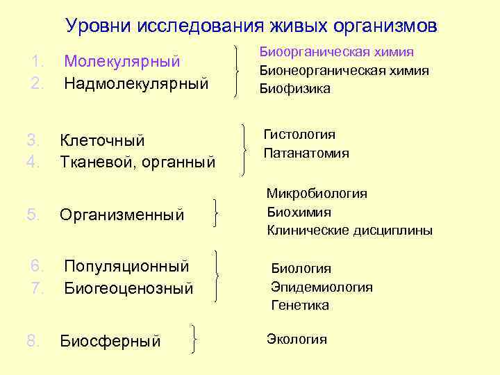 Уровни исследования живых организмов 1. 2. Молекулярный Надмолекулярный 3. 4. Клеточный Тканевой, органный Биоорганическая