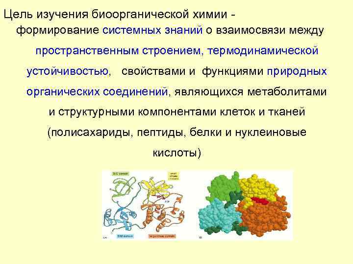 Цель изучения биоорганической химии - формирование системных знаний о взаимосвязи между пространственным строением, термодинамической
