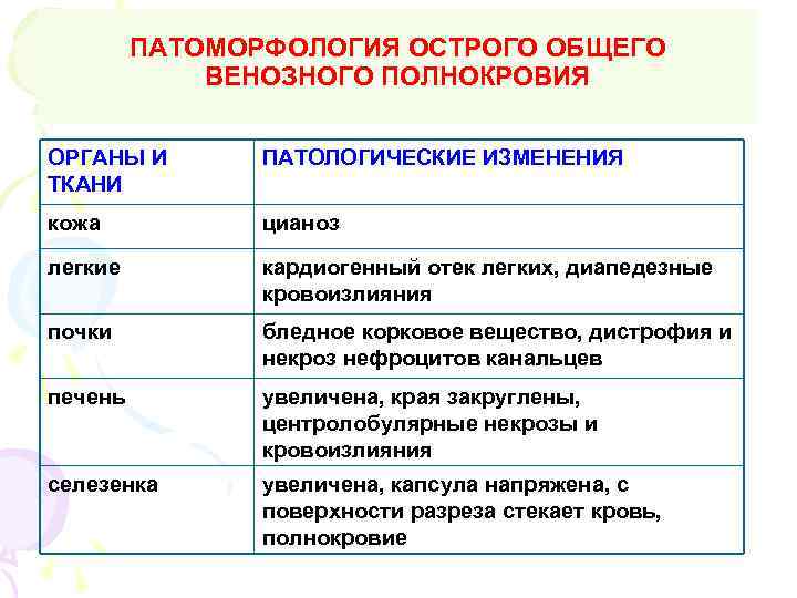 ПАТОМОРФОЛОГИЯ ОСТРОГО ОБЩЕГО ВЕНОЗНОГО ПОЛНОКРОВИЯ ОРГАНЫ И ТКАНИ ПАТОЛОГИЧЕСКИЕ ИЗМЕНЕНИЯ кожа цианоз легкие кардиогенный