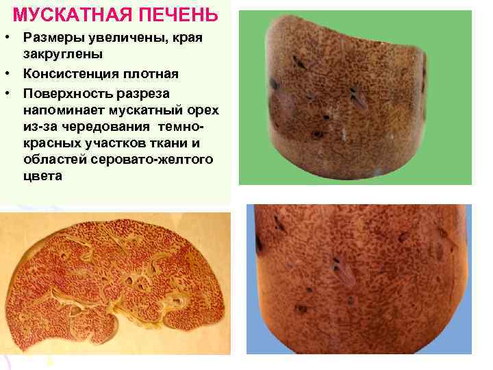 МУСКАТНАЯ ПЕЧЕНЬ • Размеры увеличены, края закруглены • Консистенция плотная • Поверхность разреза напоминает