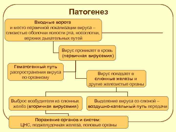 Патогенез Входные ворота и место первичной локализации вируса – слизистые оболочки полости рта, носоглотки,