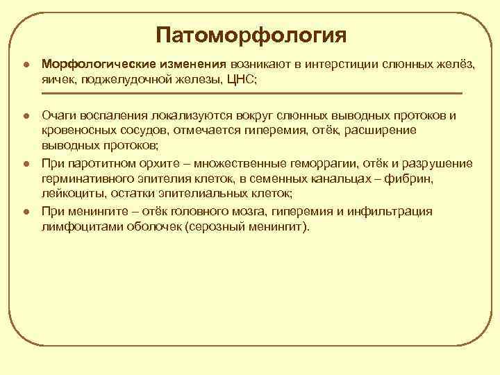 Патоморфология l Морфологические изменения возникают в интерстиции слюнных желёз, яичек, поджелудочной железы, ЦНС; l