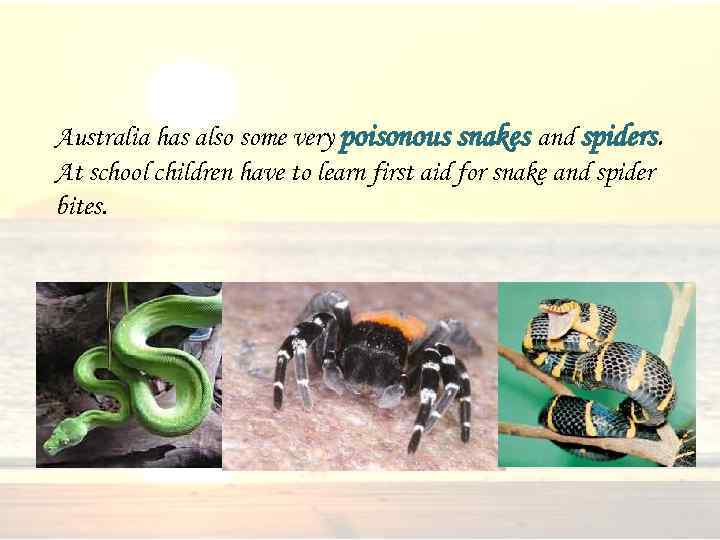 Australia has also some very poisonous snakes and spiders. At school children have to