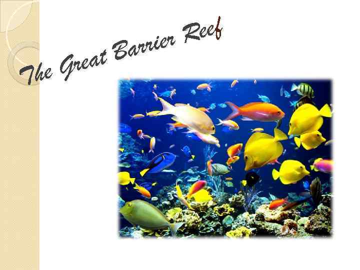 ee f ier R arr at B Gre The 