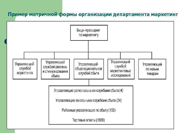Пример матричной формы организации департамента маркетинг 