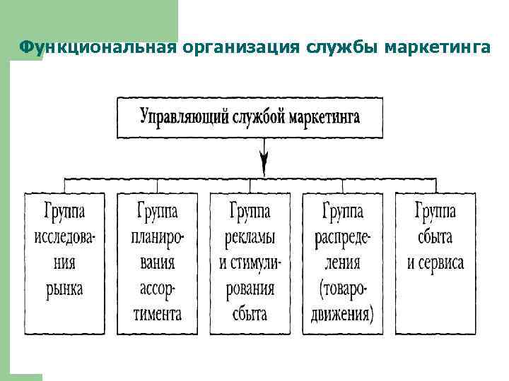 Функциональная организация службы маркетинга 