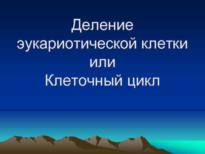 Деление эукариотической клетки или Клеточный цикл 