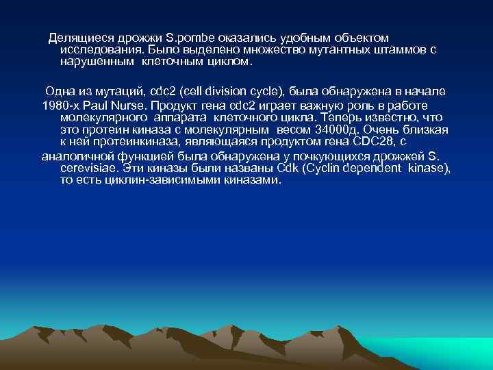  Делящиеся дрожжи S. pombe оказались удобным объектом исследования. Было выделено множество мутантных штаммов