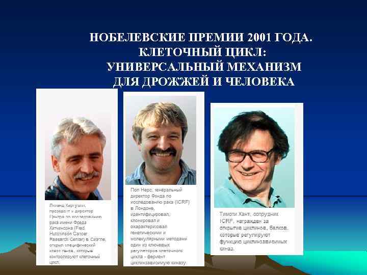 НОБЕЛЕВСКИЕ ПРЕМИИ 2001 ГОДА. КЛЕТОЧНЫЙ ЦИКЛ: УНИВЕРСАЛЬНЫЙ МЕХАНИЗМ ДЛЯ ДРОЖЖЕЙ И ЧЕЛОВЕКА 