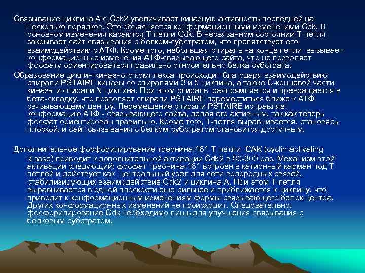 Связывание циклина А с Cdk 2 увеличивает киназную активность последней на несколько порядков. Это