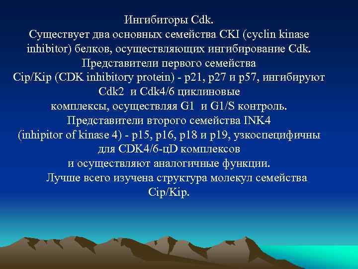 Ингибиторы Cdk. Существует два основных семейства CKI (cyclin kinase inhibitor) белков, осуществляющих ингибирование Cdk.