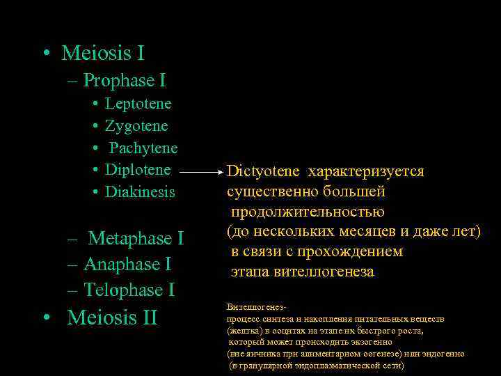  • Meiosis I – Prophase I • • • Leptotene Zygotene Pachytene Diplotene