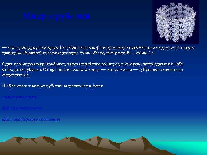 Микротрубочки — это структуры, в которых 13 тубулиновых α-/β-гетеродимеров уложены по окружности полого цилиндра.