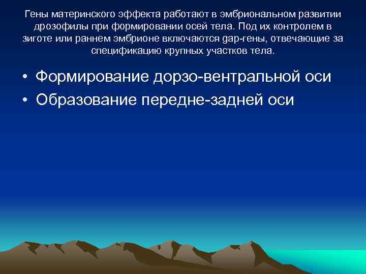 Гены материнского эффекта работают в эмбриональном развитии дрозофилы при формировании осей тела. Под их