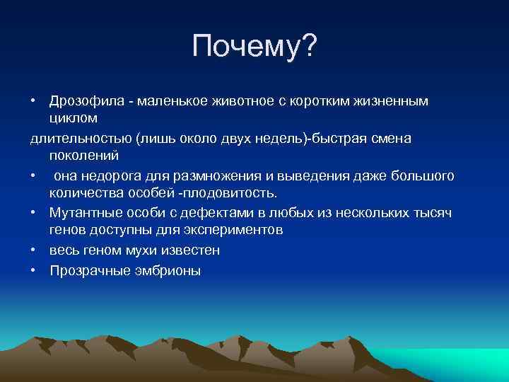 Почему? • Дрозофила - маленькое животное с коротким жизненным циклом длительностью (лишь около двух