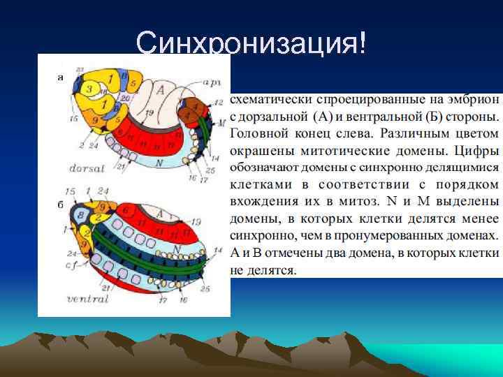 Синхронизация! 