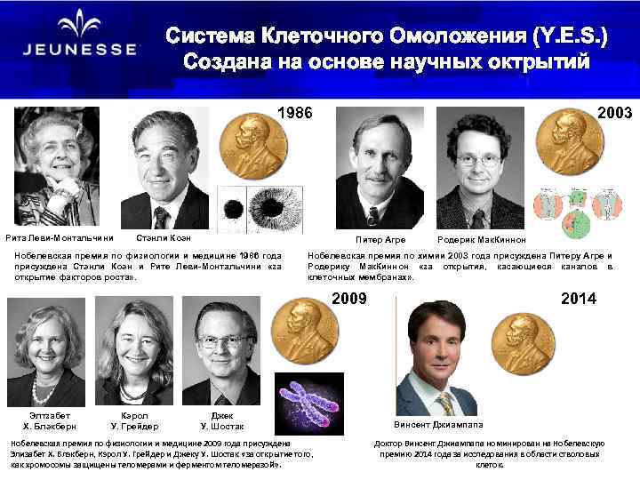 Система Клеточного Омоложения (Y. E. S. ) Создана на основе научных октрытий 1986 Рита