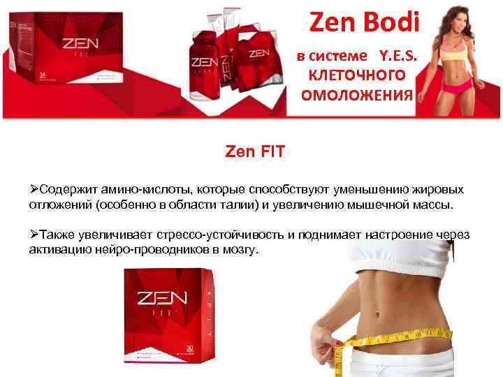 Zen Bodi в системе Y. E. S. КЛЕТОЧНОГО ОМОЛОЖЕНИЯ Zen FIT ØСодержит амино-кислоты, которые