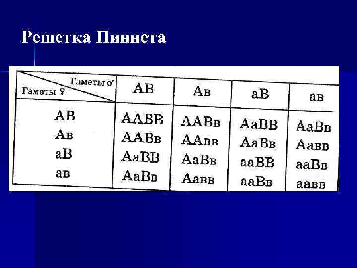 Решетка Пиннета 