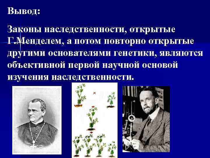 Вывод: Законы наследственности, открытые Г. Менделем, а потом повторно открытые другими основателями генетики, являются