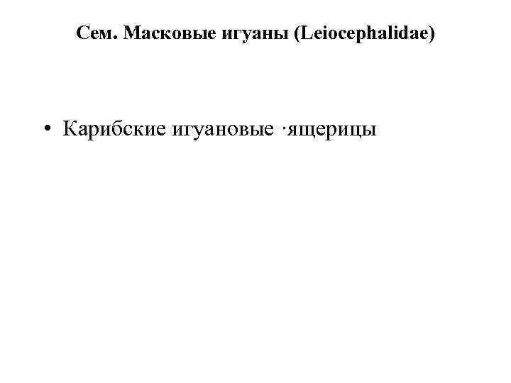 Сем. Масковые игуаны (Leiocephalidae) • Карибские игуановые ·ящерицы 