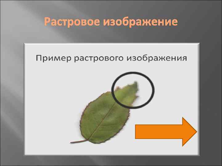 Растровое изображение 