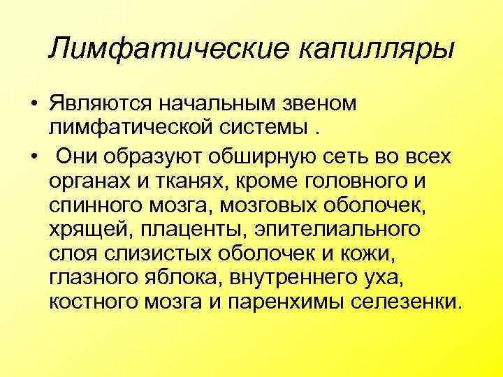 Лимфатические капилляры • Являются начальным звеном лимфатической системы. • Они образуют обширную сеть во