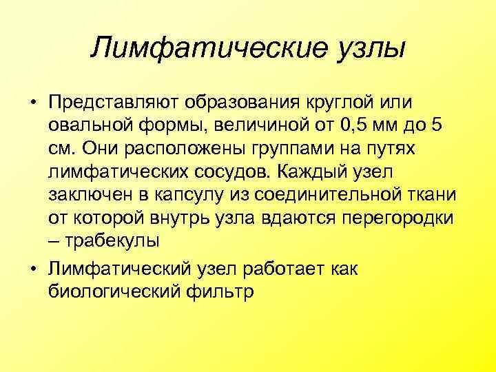 Лимфатические узлы • Представляют образования круглой или овальной формы, величиной от 0, 5 мм