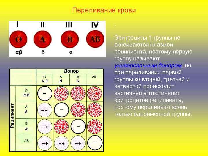 Переливание крови. Эритроциты 1 группы не склеиваются плазмой реципиента, поэтому первую группу называют универсальным