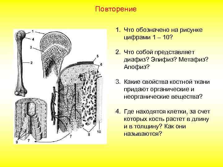 Повторение 1. Что обозначено на рисунке цифрами 1 – 10? 2. Что собой представляет