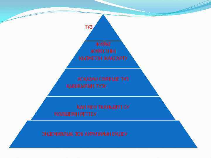 ТҰЗ ЖҮЙКЕ ЖҮЙЕСІНІҢ ҚЫЗМЕТІН ЖАҚСАРТУ АСҚАЗАН СӨЛІНДЕ ТҰЗ ҚЫШҚЫЛЫН ТҮЗУ ҚАН МЕН ТКАНЬДЕГІ СУ