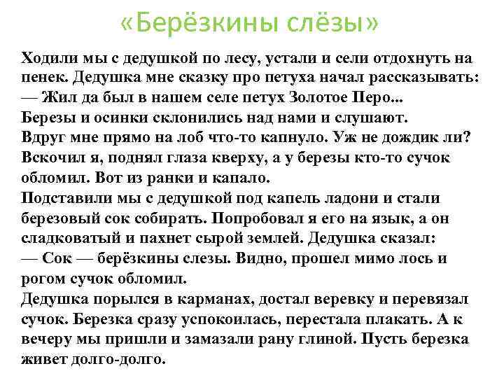  «Берёзкины слёзы» Ходили мы с дедушкой по лесу, устали и сели отдохнуть на