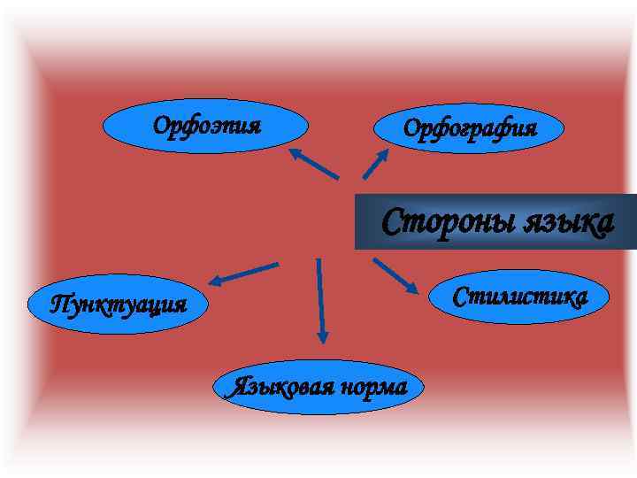 Орфоэпия Орфография Стороны языка Стилистика Пунктуация Языковая норма 