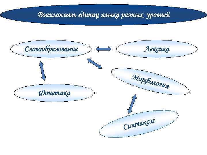 Взаимосвязь единиц языка разных уровней Словообразование Лексика Морф Фонетика ологи я с такси Син