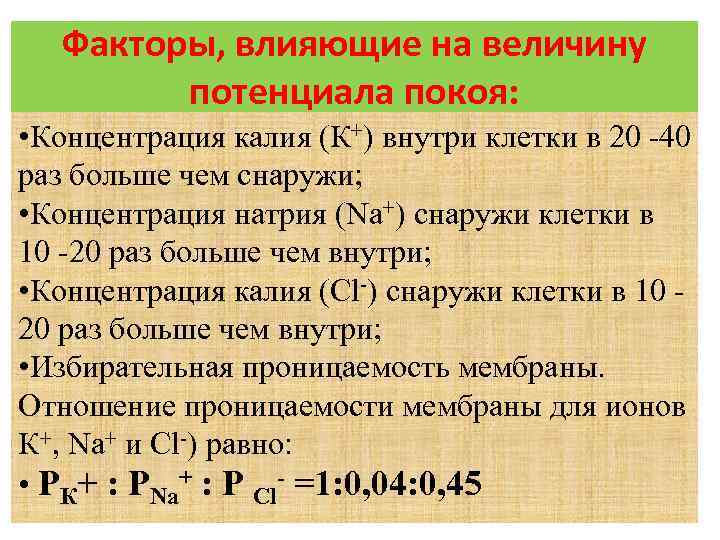 Факторы, влияющие на величину потенциала покоя: • Концентрация калия (К+) внутри клетки в 20