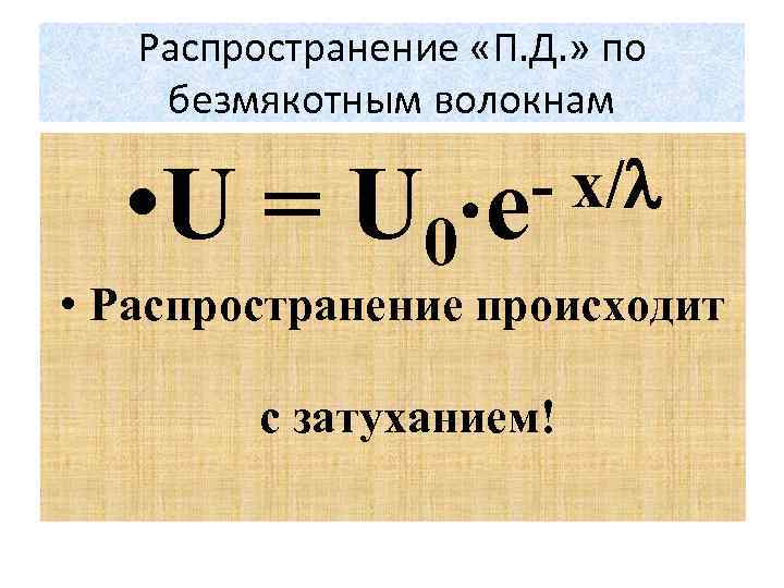 Распространение «П. Д. » по безмякотным волокнам • U = - x/ U 0
